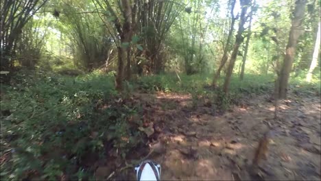 Extreme-Motocross-Rider-riding-on-teak-forest-track-in-sunny-summer-day
