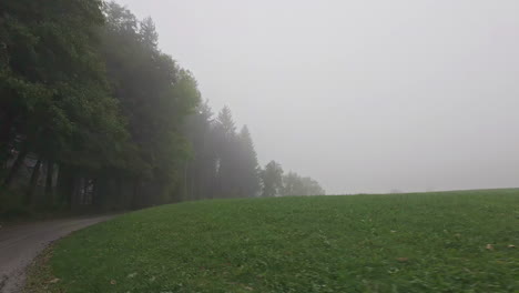 Dirt-road-in-the-middle-of-forest,-trees-and-green-fields,-cloudy-day