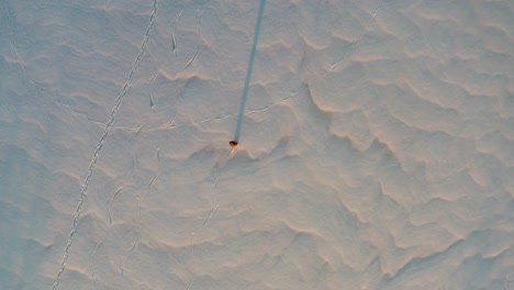 Aerial-view-of-person-ice-skate-on-snowy-polar-glacier-during-sunset-golden-hour