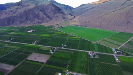 Drone-shot-tilting-up-starting-the-shot-looking-at-the-trees-and-plants-grown-by-the-local-farmers,-the-shot-pans-up-to-reveal-the-rocky-mountains-in-the-back