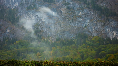 Misty-clouds-enveloping-forested-mountain-base,-with-autumnal-foliage-in-the-foreground-time-lapse