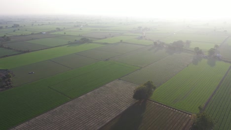 Aerial-drone-view-wide-angel-seen-where-large-fields-are-visible-in-the-distance