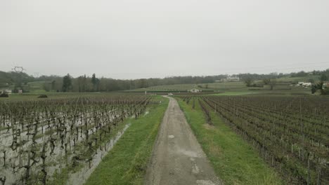 Landstraße-Inmitten-Von-Bordeaux-Weinbergen,-Frankreich---Luftaufnahme