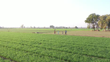 Aerial-drone-view-boys-playing-and-walking-in-the-field