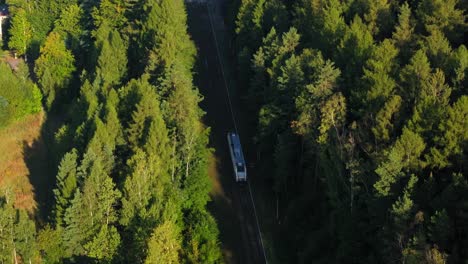 "Rails-Through-Nature:-Aerial-Views-of-Train,-Forest