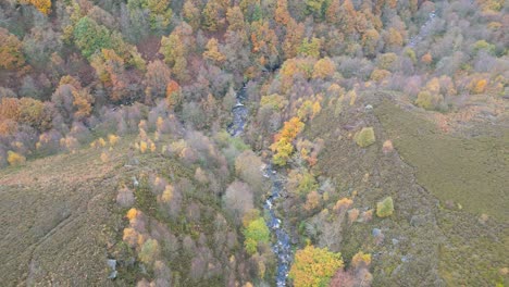 Luftdrohnenaufnahmen-Eines-Flusses,-Der-Durch-Eine-Moorlandschaft-Fließt