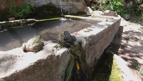 Wasser-Tropft-Aus-Einem-Der-Wasserbrunnen-In-Sillyon,-Einer-Antiken-Stadt-In-Der-Provinz-Antalya,-Türkei