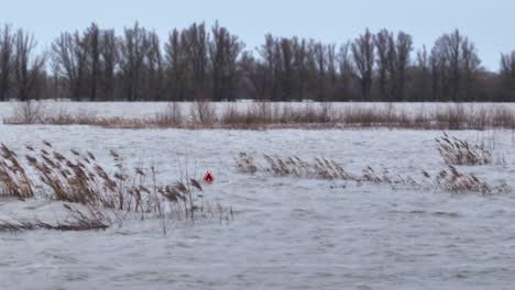 Hohes-Hochwasser-In-Der-Niederländischen-Landschaft-Nach-Überschwemmung-Durch-Den-Fluss-Waal
