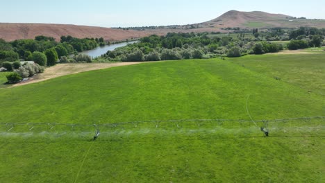 Drone-shot-of-a-sprinkler-system-watering-a-field-full-of-green-plants