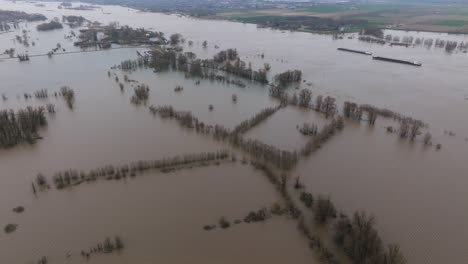 Paisaje-Inundado-Alrededor-Del-Río-Waal-En-La-Campiña-Holandesa-Cerca-De-Gorinchem