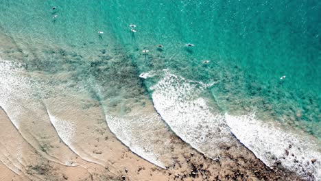 Surfers-On-Turquoise-Beach-Of-Noosa-In-QLD,-Australia---Aerial-Top-Down