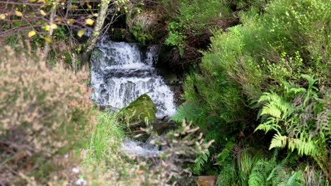 Small-moorland-stream-in-Yorkshire-UK