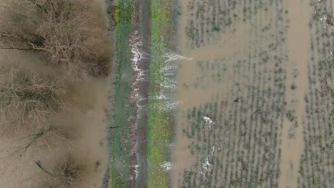 Mittlere-Luftaufnahme-Aus-Der-Vogelperspektive-Von-Hochwasser,-Das-Eine-Abgabe-überschwemmt-Und-Ein-Landwirtschaftliches-Feld-Entlang-Des-Waal-Flusses-In-Der-Nähe-Der-Stadt-Gorinchem-überschwemmt,-Nachdem-Heftige-Regenfälle-Nordeuropa-Heimgesucht-Haben