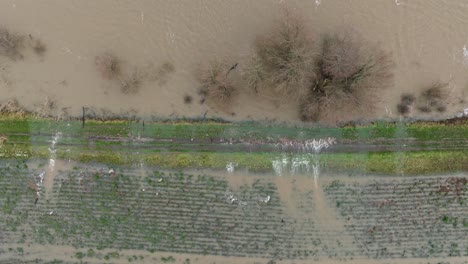 Hochwasser-Strömt-über-Die-Ufer-Des-Flusses-Waal-In-Der-Niederländischen-Landschaft-Gorinchem