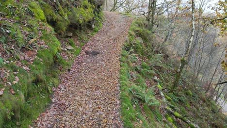 Pathway,-Country-Trail,-leading-through-woodlands-along-the-side-of-a-moorland-river