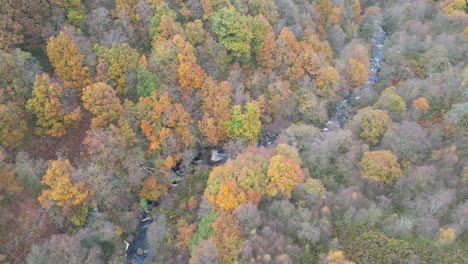 Aerial-drone-footage-of-a-river-winging-through-a-moorland-scene