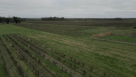 Winter-Vineyards-in-Pugnac,-Bordeaux,-France---aerial-flyover