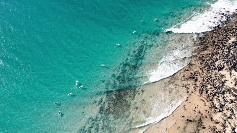 Gente-Surfeando-Sobre-El-Océano-Claro-De-La-Playa-De-Noosa-En-Queensland,-Australia