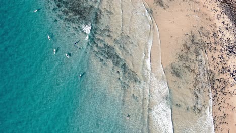 Aerial-View-Of-Surfers-In-The-Ocean-Of-Noosa-Shire,-Queensland,-Australia---Drone-Shot