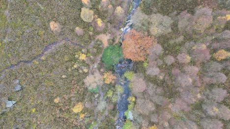 Luftdrohnenaufnahmen-Eines-Flusses,-Der-Durch-Eine-Moorlandschaft-Fließt