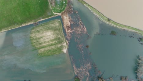 Aerial-birdseye-panning-shot-of-flooded-farm-fields-along-the-Waal-River-near-the-village-of-Gorinchem-in-the-NEtherlands-as-heavy-rains-pummel-much-of-Northern-Europe
