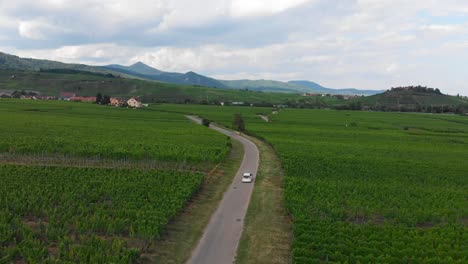 Aerial-Tracking-Shot-of-Small-Car-Winding-through-French-Vineyards