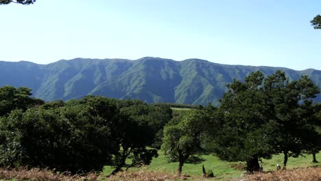 Panoramic-View-Of-Madeira-Island,-Hills-In-Background,-Trees-In-Foreground,-People-Hiking