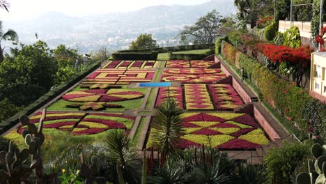 Vista-Del-Jardín-Botánico-De-Funchal,-Madeira.