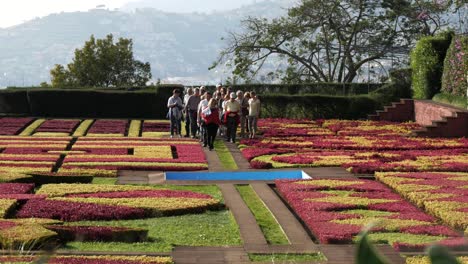 Grupo-De-Personas-Caminando-En-El-Jardín-Botánico,-Funchal,-Madeira