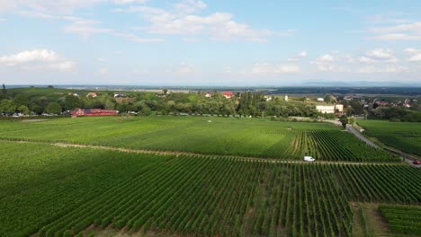 Luftlandschaft-Französischer-Weinberge-In-Vins-D&#39;Alsace