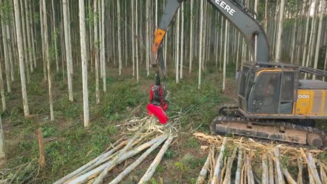 John-Deere-Tree-Harvester-Cutting-Tree-and-Stacking-Trunks