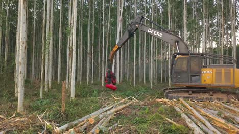 Tree-Harvester-Collecting-Trunks-From-Artificial-Forest-in-Countryside-of-Paraguay