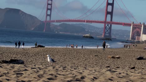 A-calm,-relaxing-day-at-the-beach-in-San-Francisco,-California