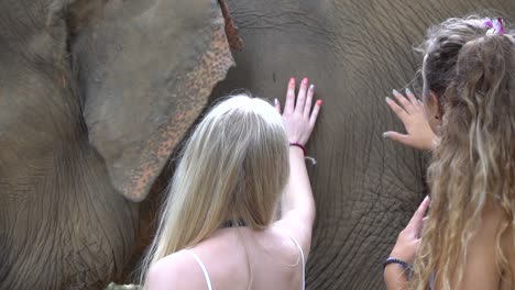 Close-Up-Slowmotion-of-Female-Tourists-Touching-Elephant-Skin-on-Zoo-Tour-in-Countryside-of-Thailand