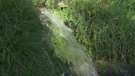 Fließendes-Wasser-Durch-Das-Gras