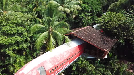 Boing-Flugzeug-Im-Dschungel-Von-Costa-Rica