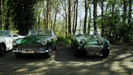 Classic-Car,-Austin-Haeley-Club-North-Wales-Meeting-In-Portmeirion-Village
