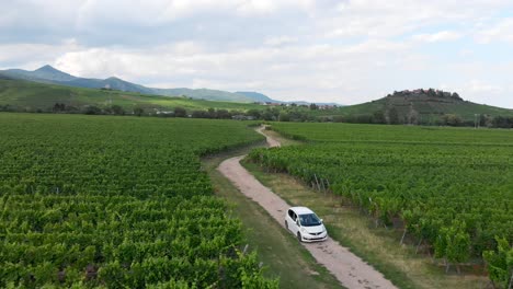 Reverse-Tracking-of-Car-Going-Down-Dusty-Vineyard-in-Vins-d'Alsace
