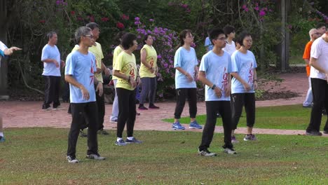 Group-of-diverse-Singaporeans-leisurely-practicing-Tai-Chi,-Singapore---Wide-static-shot
