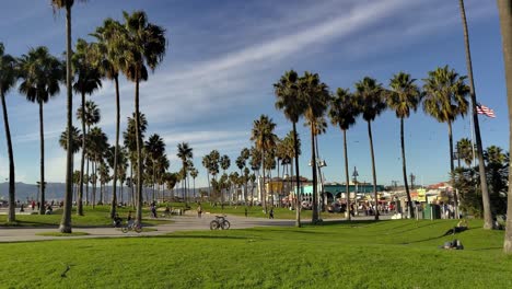 Atemberaubende-Landschaft-Mit-Hohen-Palmen-Und-Grünem-Rasen-Mit-Umherstreifenden-Menschen-Am-Venice-Beach-In-Los-Angeles,-Kalifornien,-USA-–-Weitwinkelaufnahme