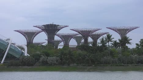 Supertree-Grove-At-Gardens-By-The-Bay-View-From-Across-Marina