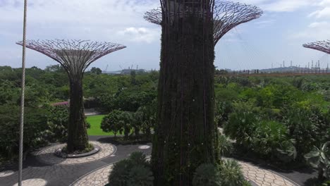 Súper-árbol-En-Los-Jardines-Botánicos-De-Singapur.