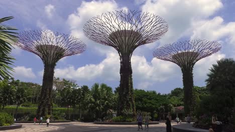 Súper-árboles-En-Jardines-Botánicos-Junto-Al-Parque-Público-De-La-Bahía-En-Singapur