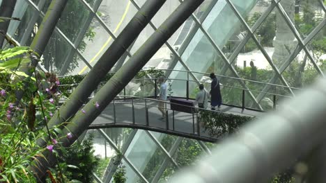 People-stroll-on-Cloud-Forest-walkway,-Gardens-by-the-Bay,-Singapore---Medium-wide-static-shot