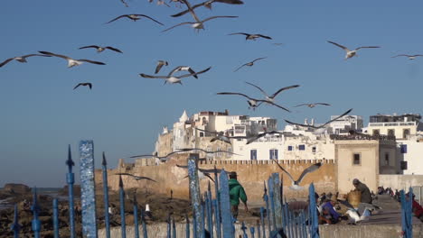 Essaouira,-Marruecos