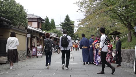 Wunderschöner-Kyoto-Park-Mit-Touristen,-Die-Auf-Den-Straßen-Spazieren