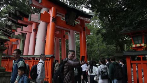 Tourists-lining-up-and-taking-selfies-at-the-entries-to-the-red-torries-shinto-shrines
