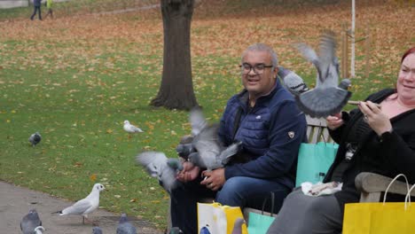 Pigeons-on-people-sitting-on-bench