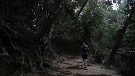 Turista-Caminando-En-El-Bosque-Profundo-De-Japón-En-Kioto