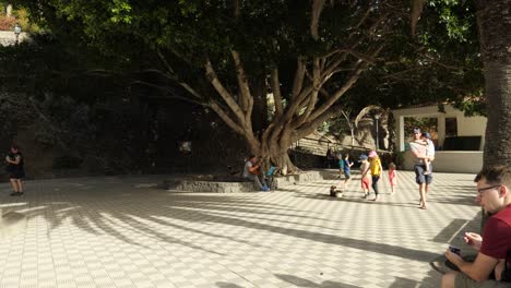 Street-musician-and-kids-on-the-square,-under-a-big-tree-in-Masca